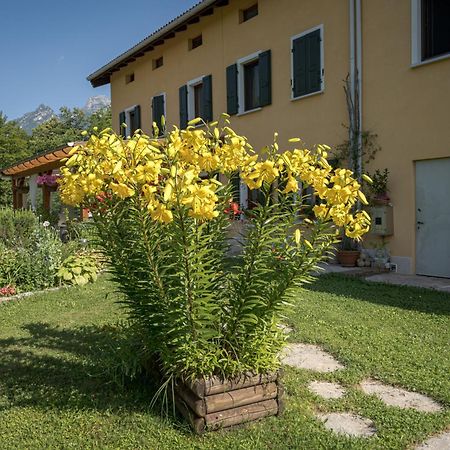 Casa Edith Libano Buitenkant foto