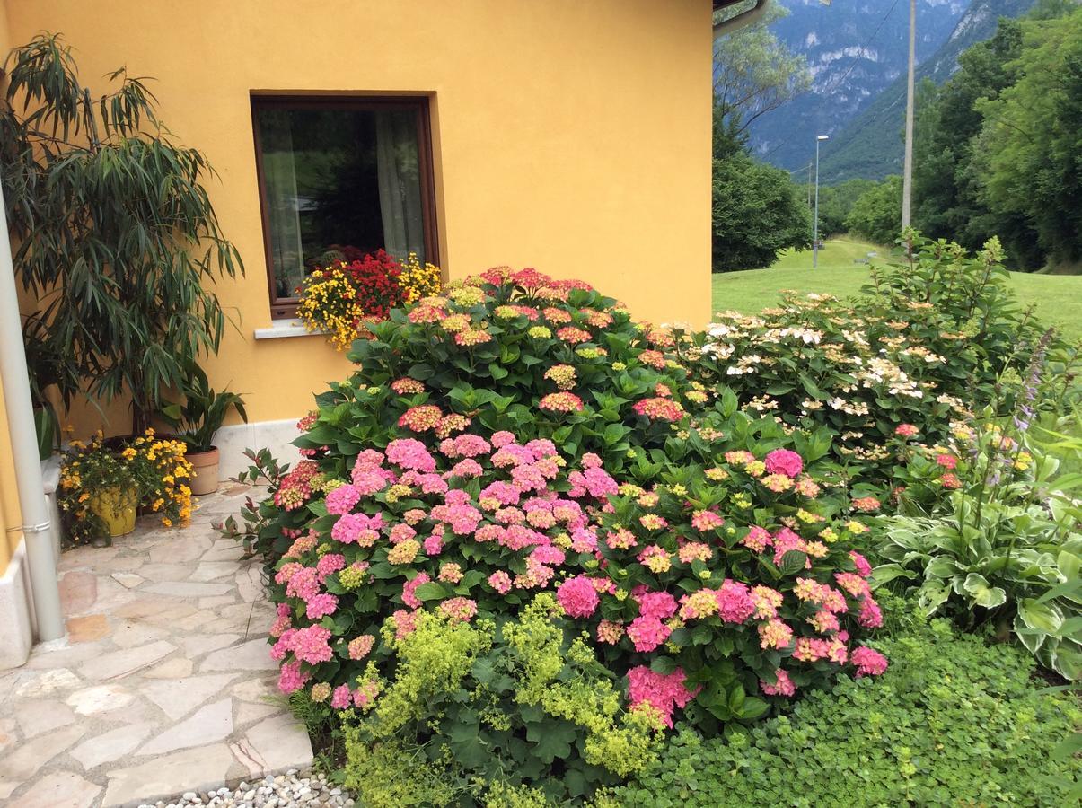 Casa Edith Libano Buitenkant foto